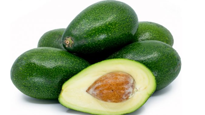 Bacon Avokado Fidanı