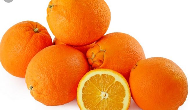 Fukumato Portakal Fidanı