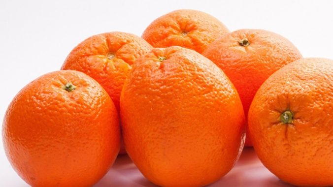 Navalina Portakal Fidanı