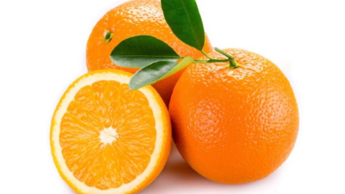 Spring Navel Portakal Fidanı