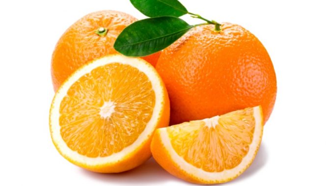 Washington Navel Portakal Fidanı